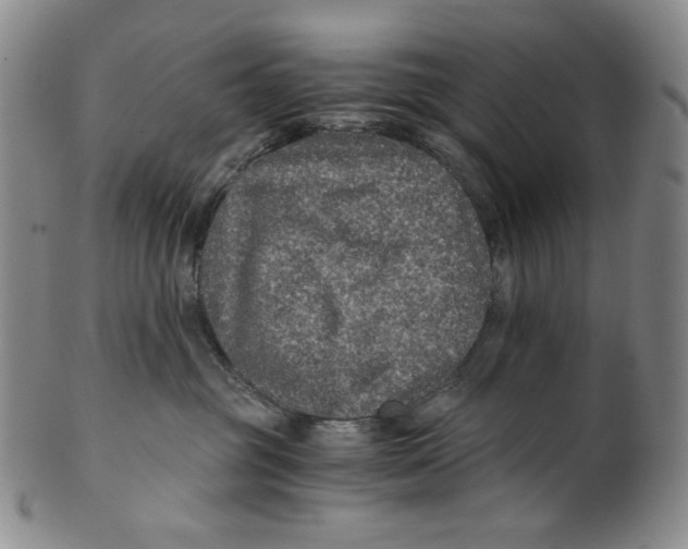 X0000100400381200806271426