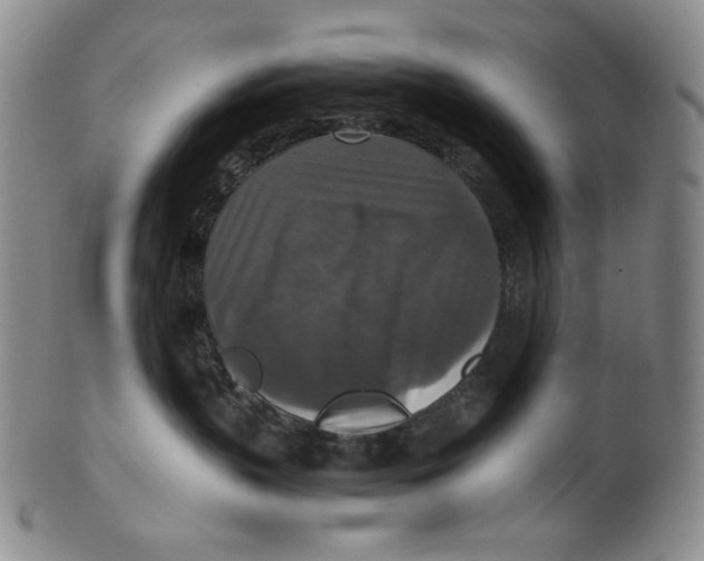 X0000100400383200806271426
