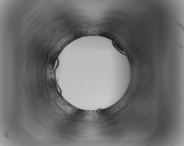 X0000100400384200806271426