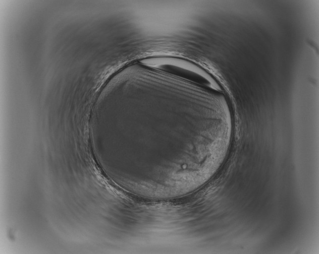 X0000100400385200806271425