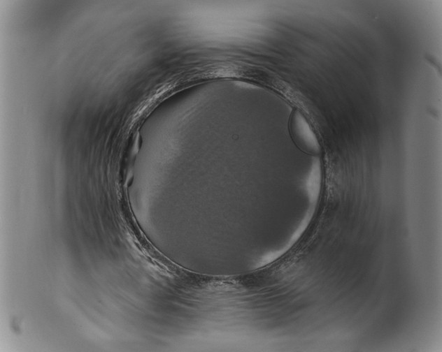 X0000100400386200806271425
