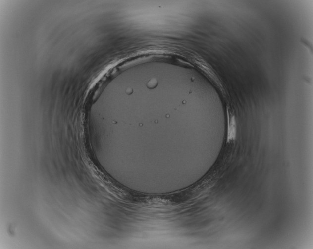 X0000100400387200806271425