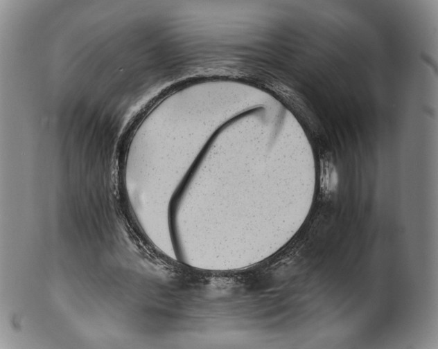 X0000100400388200806271425