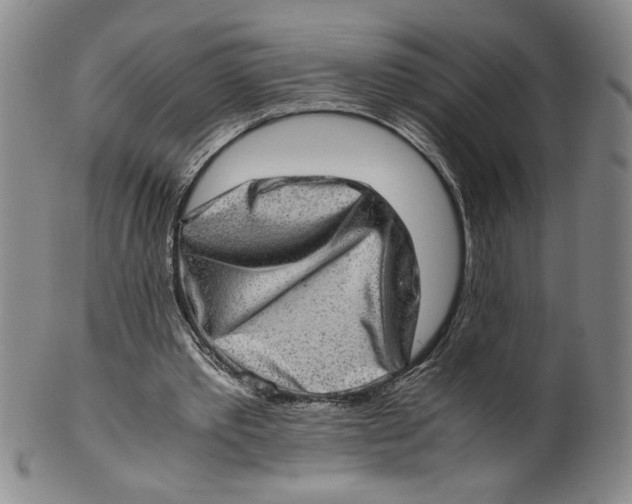 X0000100400389200806271425