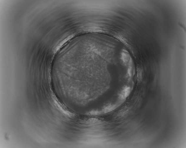 X0000100400390200806271425