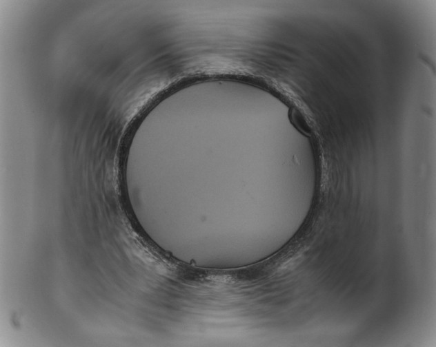 X0000100400391200806271425