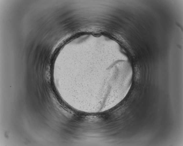 X0000100400392200806271425