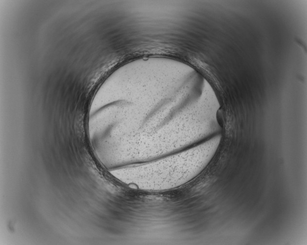 X0000100400394200806271425