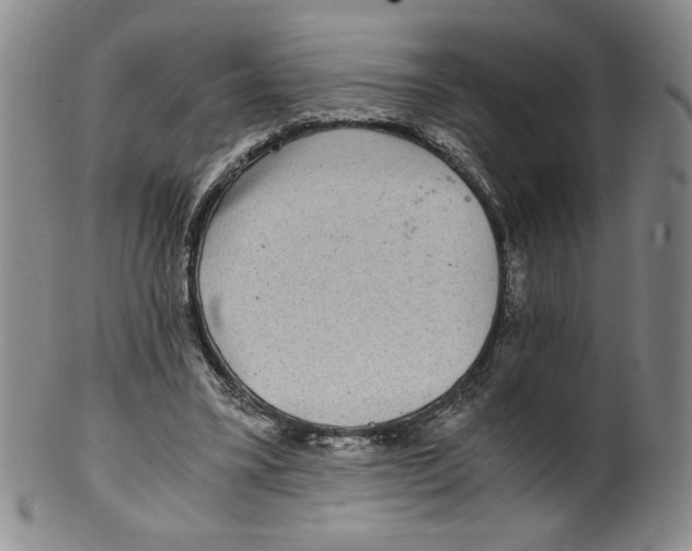 X0000100400395200806271425