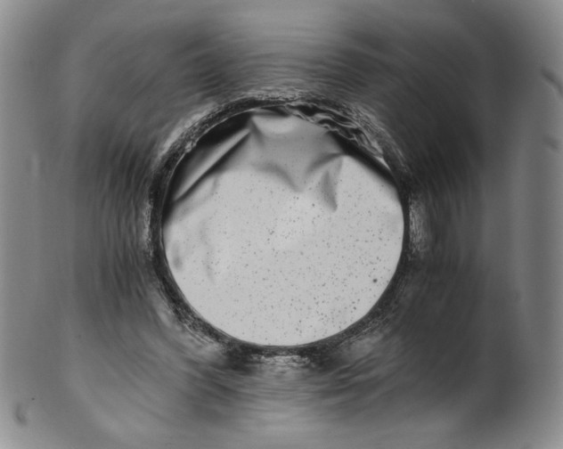 X0000100400396200806271425