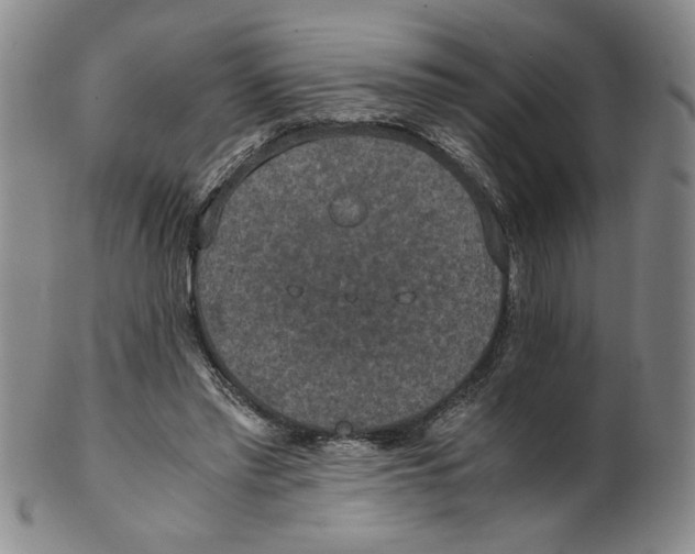 X0000100400397200806271425