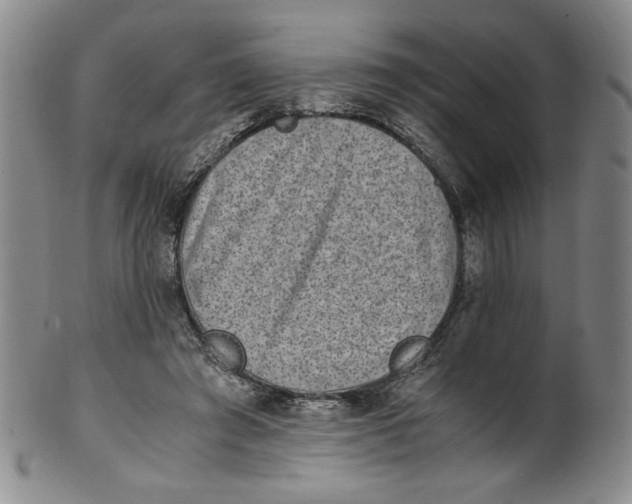 X0000100400401200806271425