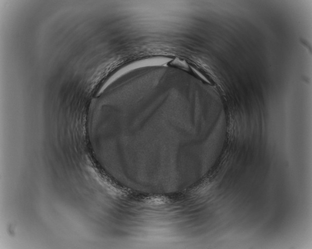 X0000100400402200806271425