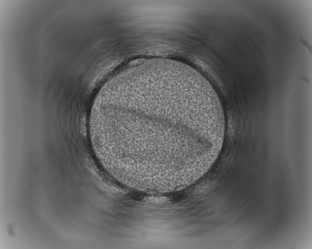 X0000100400403200806271425