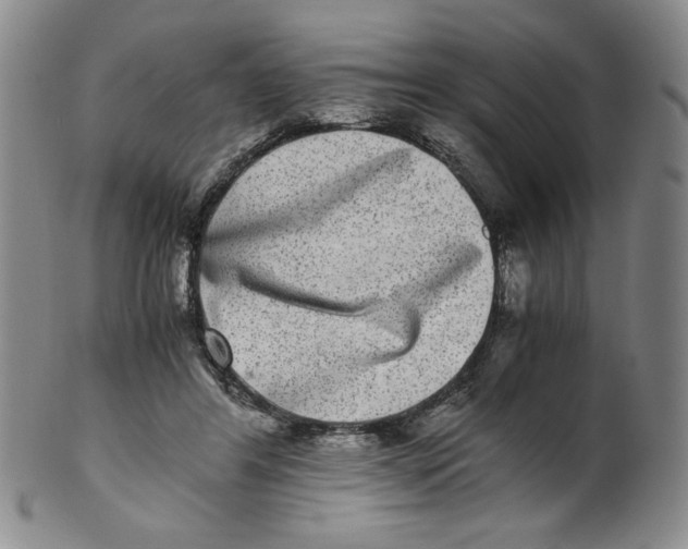 X0000100400404200806271425