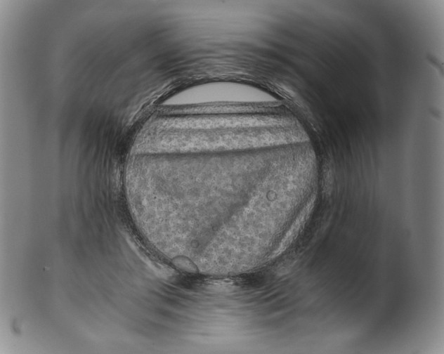 X0000100400405200806271425