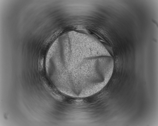 X0000100400406200806271425