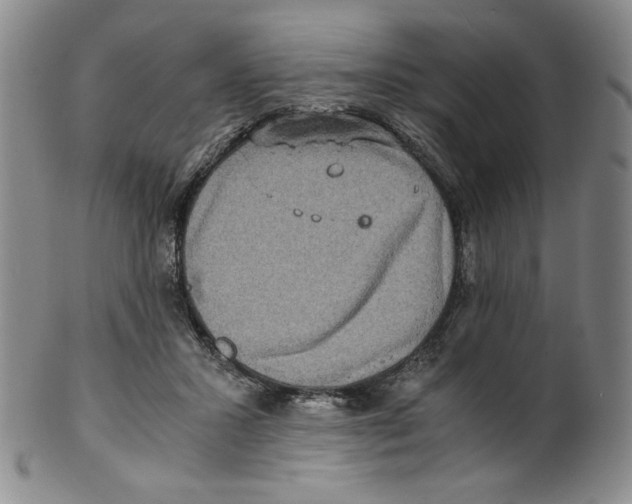 X0000100400407200806271425