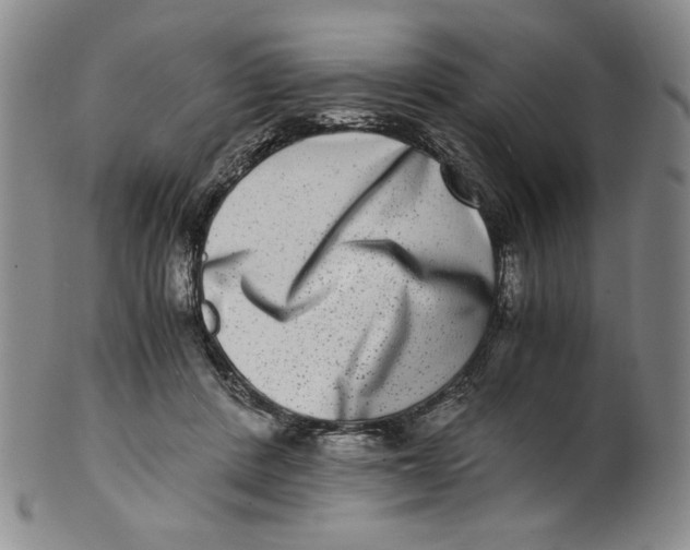 X0000100400408200806271425