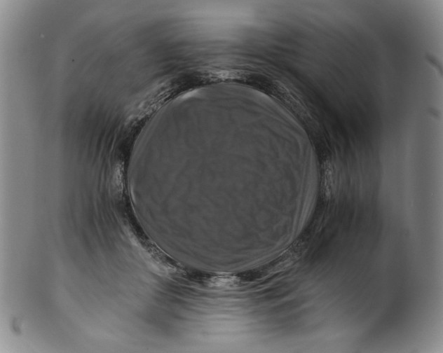 X0000100400410200806271425