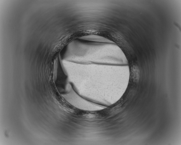 X0000100400412200806271425