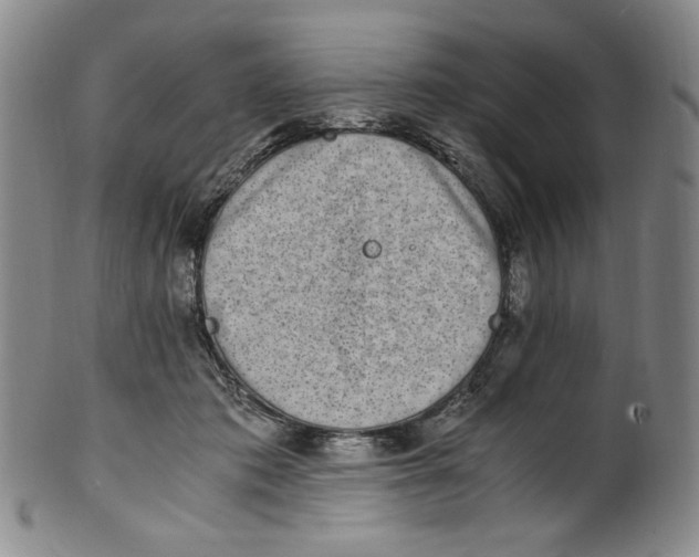 X0000100400413200806271425