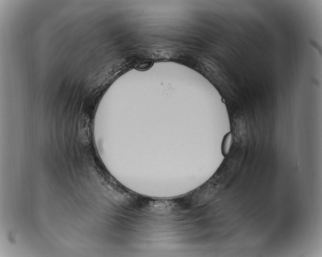 X0000100400414200806271425