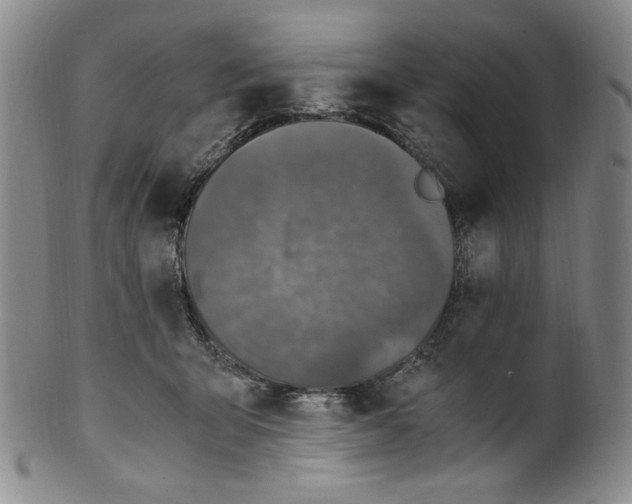 X0000100400415200806271425
