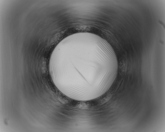 X0000100400416200806271425
