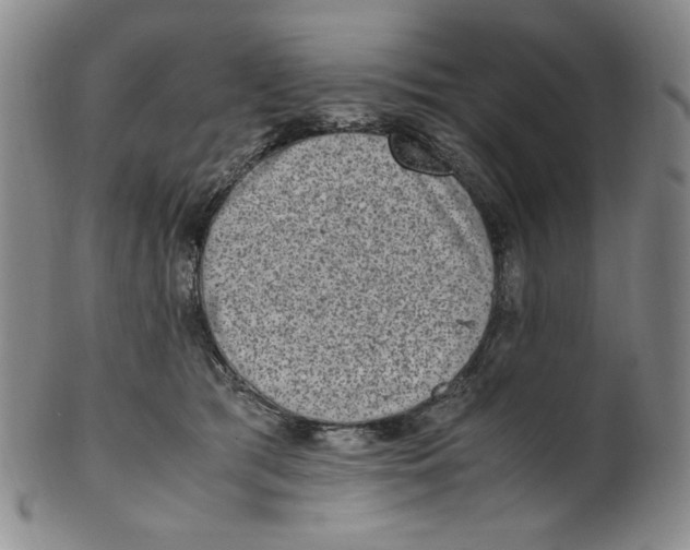 X0000100400417200806271425