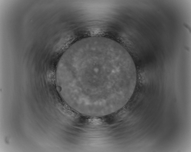 X0000100400419200806271425
