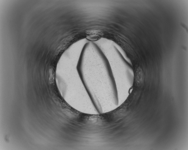 X0000100400420200806271425