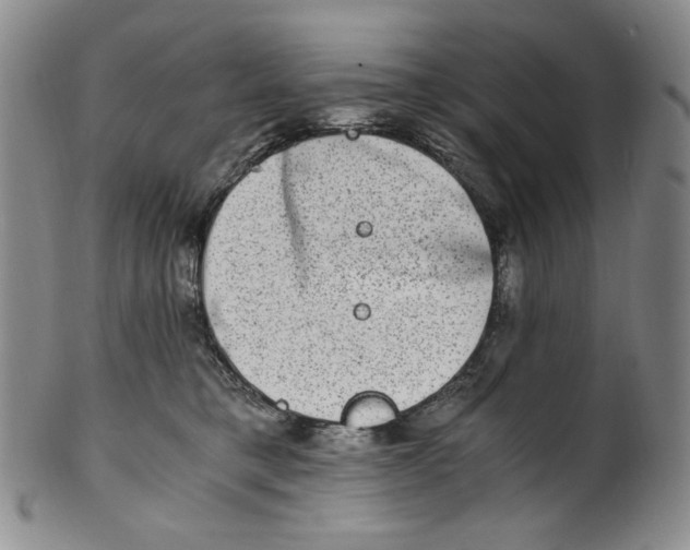 X0000100400421200806271425