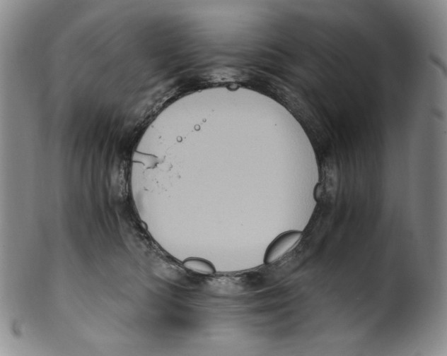 X0000100400422200806271425