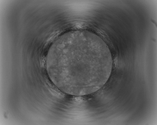 X0000100400423200806271425