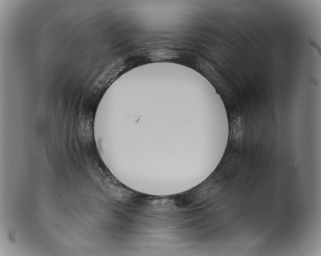 X0000100400426200806271425