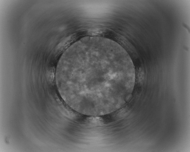 X0000100400427200806271425
