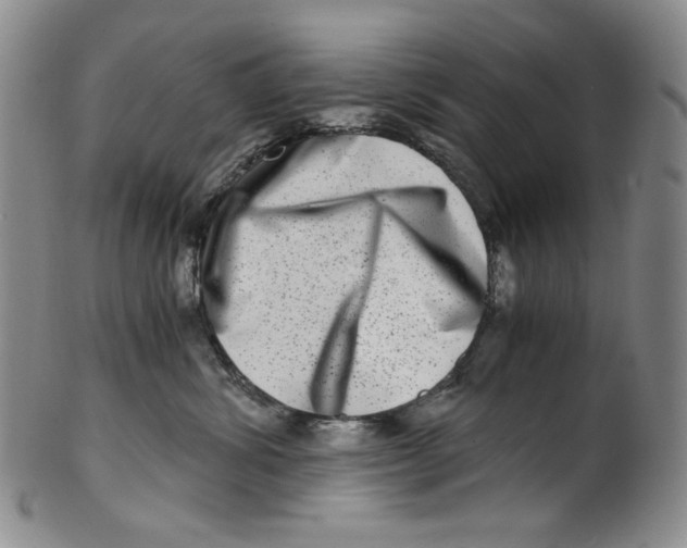 X0000100400428200806271425