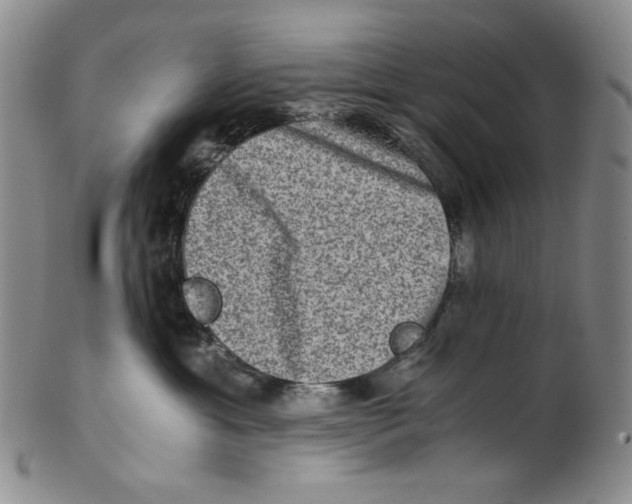 X0000100400429200806271425