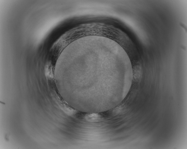 X0000100400431200806271425