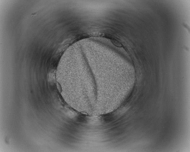 X0000100400432200806271425