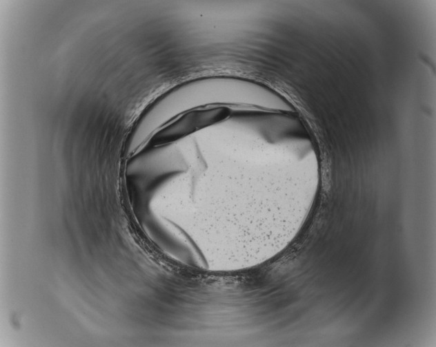 X0000100400434200806271424
