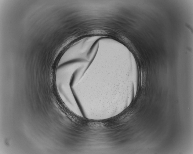 X0000100400435200806271424