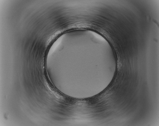 X0000100400438200806271424