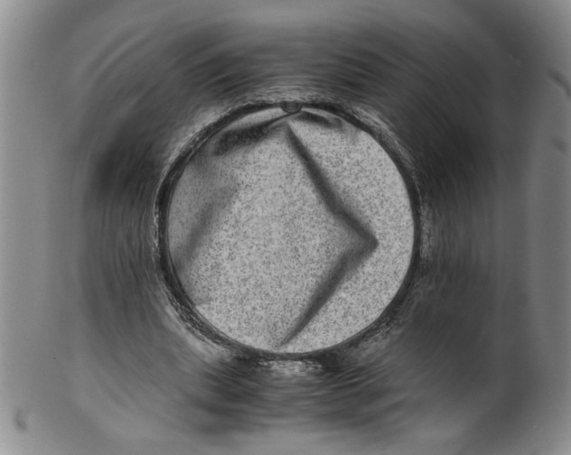 X0000100400439200806271424