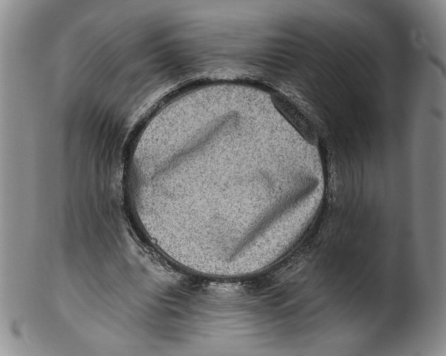 X0000100400440200806271424