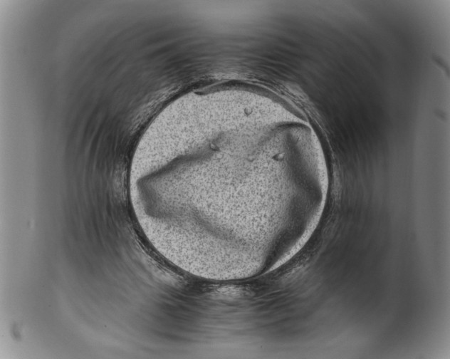 X0000100400441200806271424