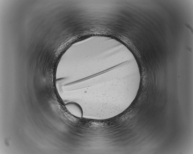 X0000100400442200806271424