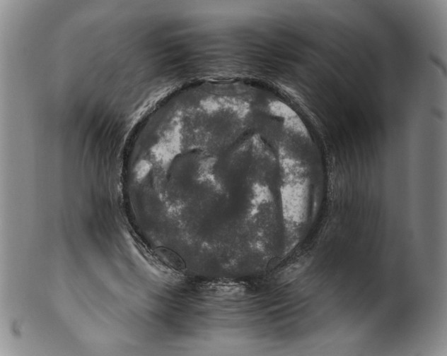 X0000100400443200806271424