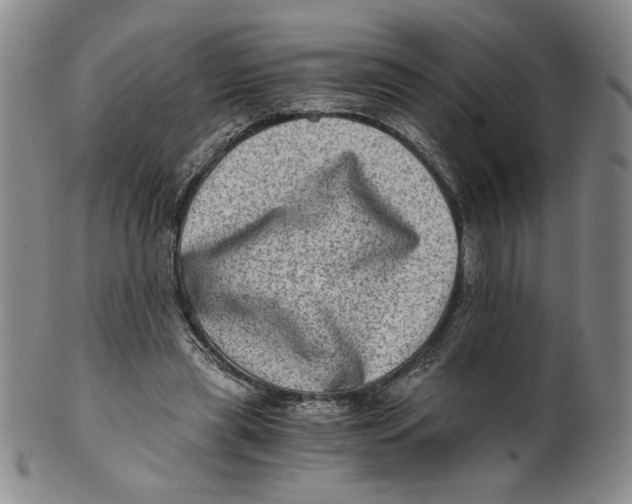 X0000100400445200806271424